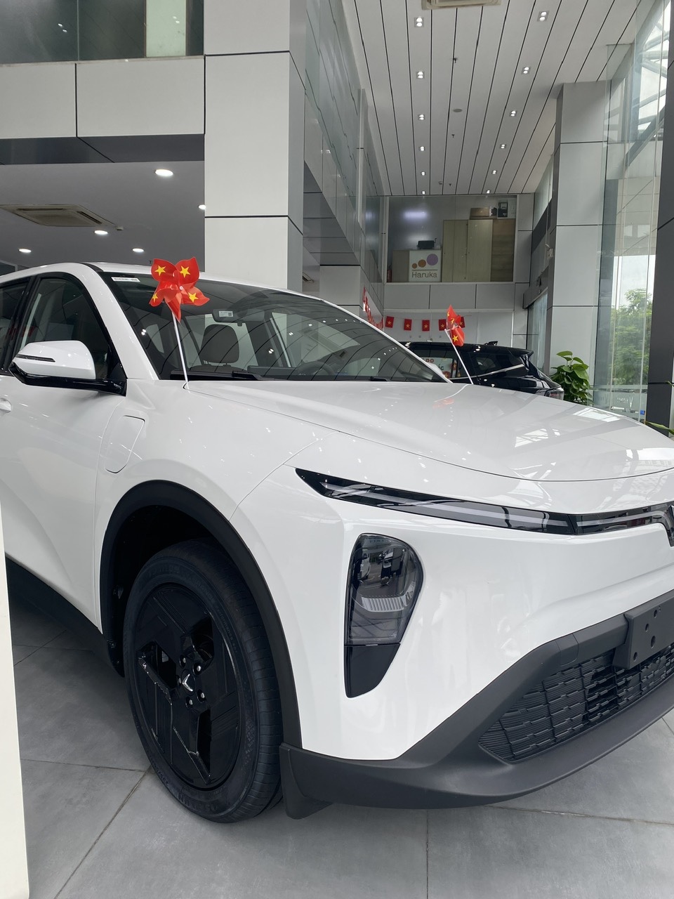 Vinfast VF MPV7 Trắng/Nâu